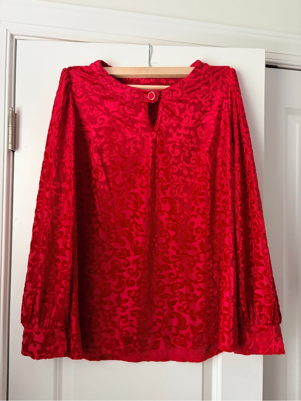 Kim Rogers Red Velvet Burnout Keyhole Long-Sleeve Blouse
